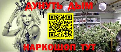 гидра Лесосибирск