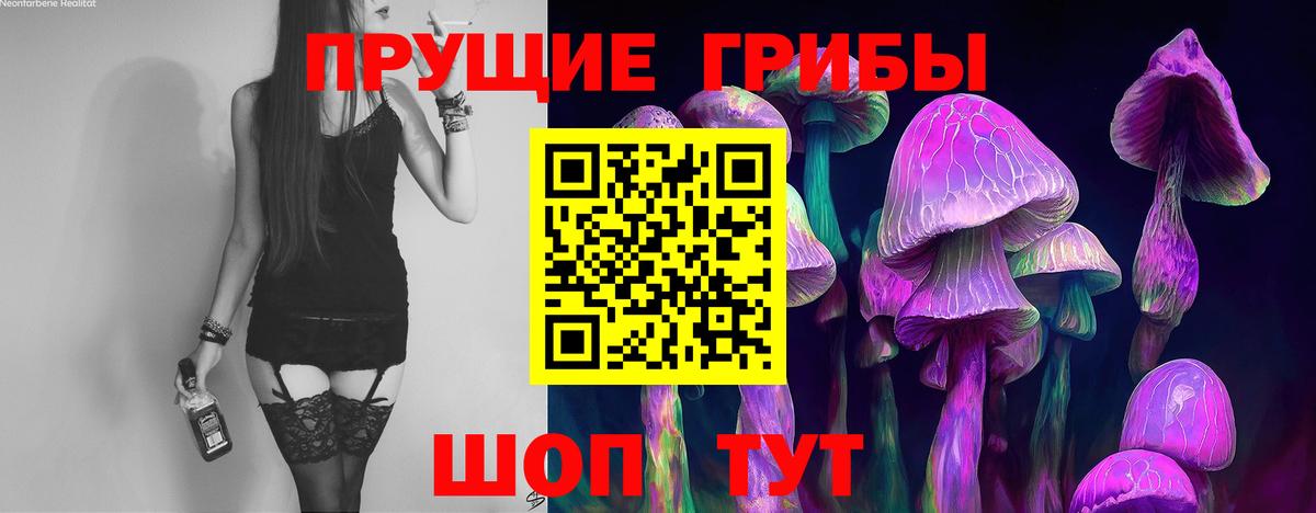 Галлюциногенные грибы Magic Shrooms Димитровград