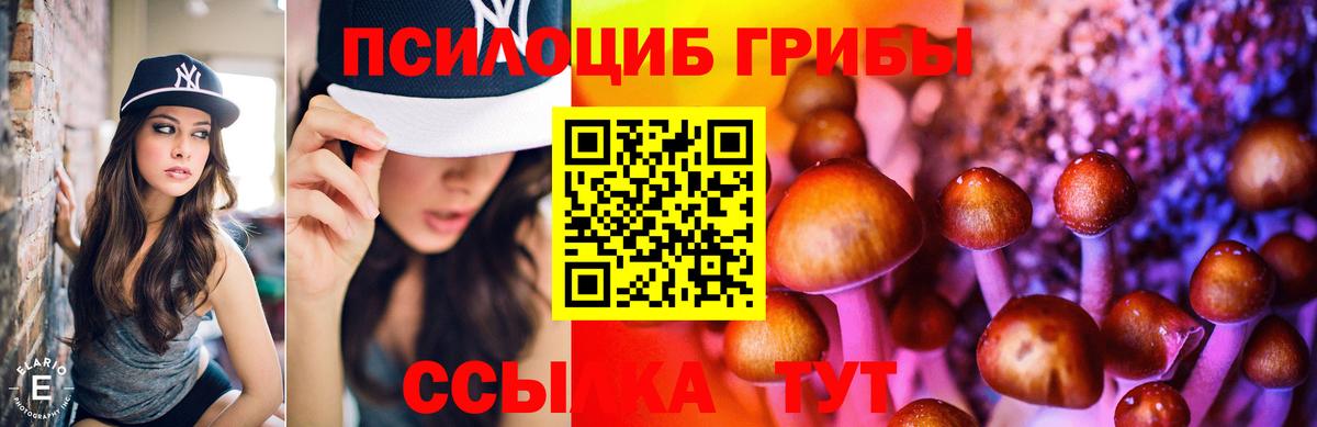 магазин продажи   Вход с VPN  Димитровград  Галлюциногенные грибы прущие грибы  Псилоцибиновые грибы GOLDEN TEACHER 